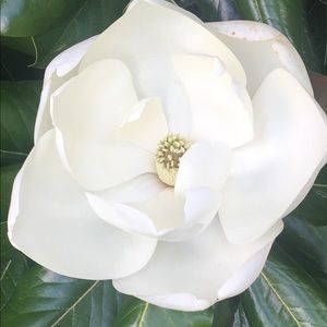 Meet your Posher, Tatiana